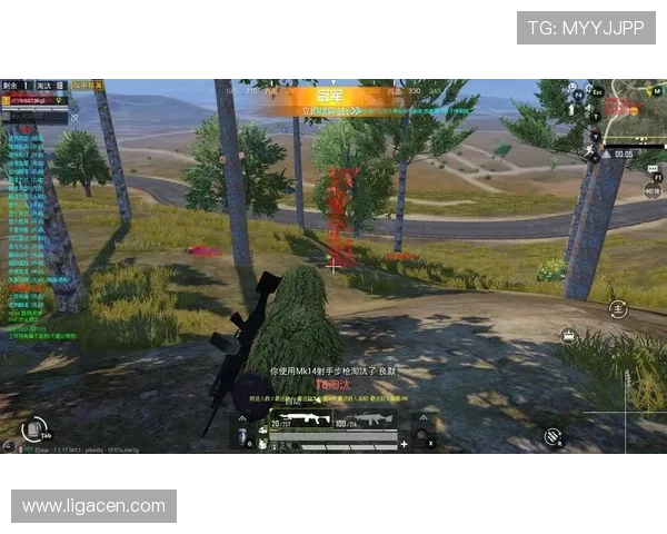 凯发首页地址有什么内容详解，涵盖游戏种类、平台特色与用户服务